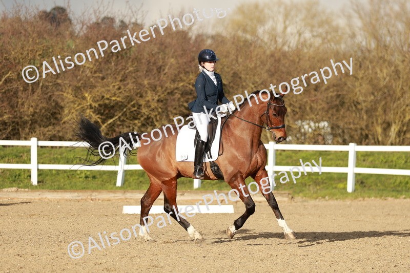 20260314-6305 - CT7 - Elementary 2