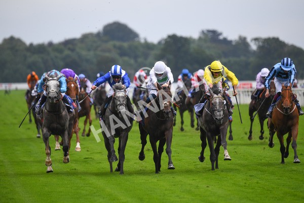 yr21082021r2-12 - Race 2 2.25pm Sky Bet Melrose Stakes