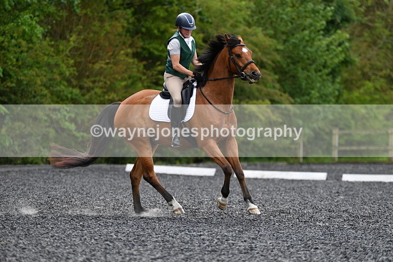 WJ5_0219 - Time 11:47 to 12:21