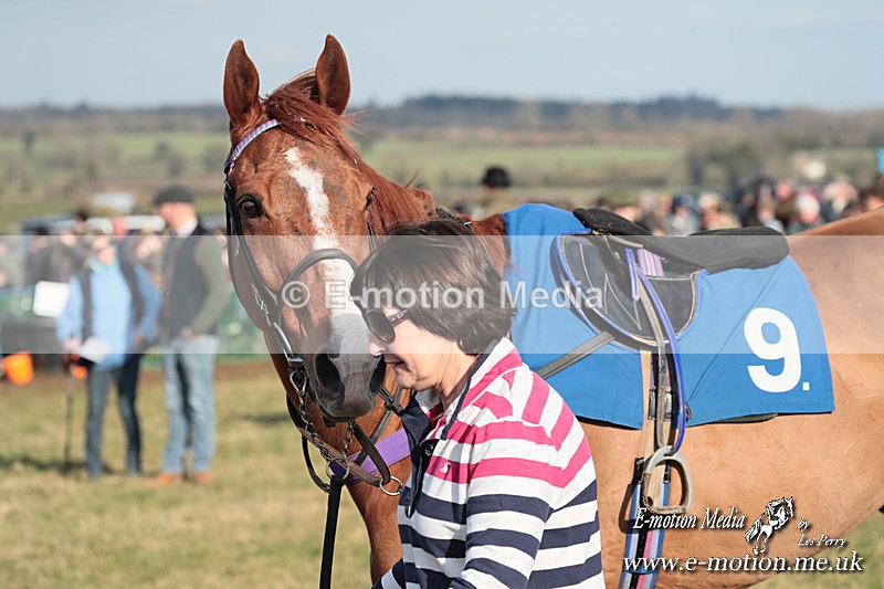 PtP 010325 371 - Beaufort Races Didmarton 01/03/25