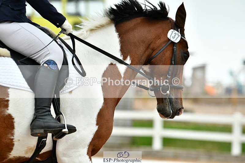 230630A-110333-01264 - Cls 5 Novice 37A