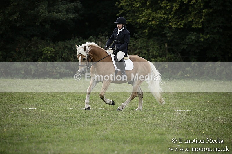 BVR090918 60 - BVRC Dressage and Show Jumping 09/09/18