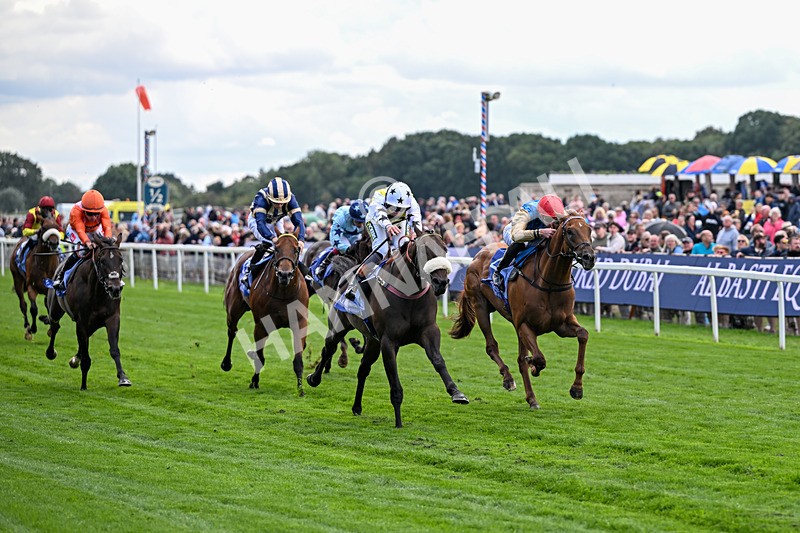 210826-Race 3-Arapaho Gold-5755 - Race 3 15.00pm Al Basti Equiworld Dubai Gimcrack Stakes