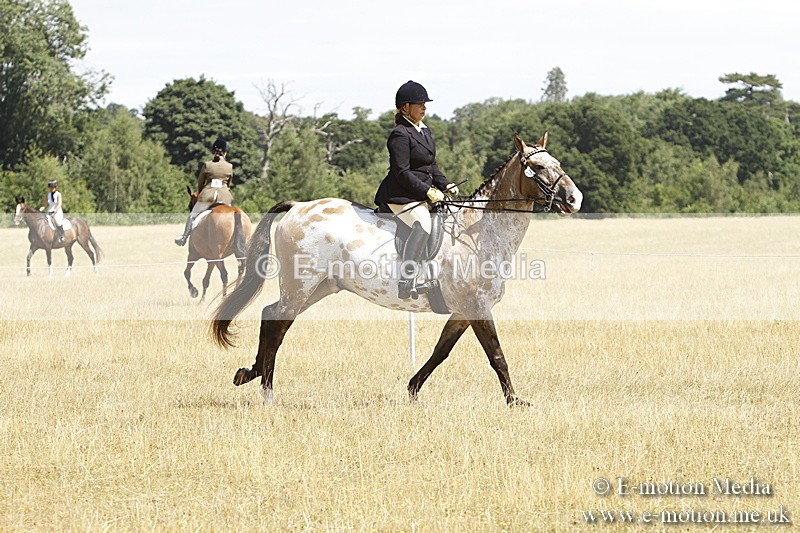 _BS_0738 - BVRC Show 2018 Ring 1