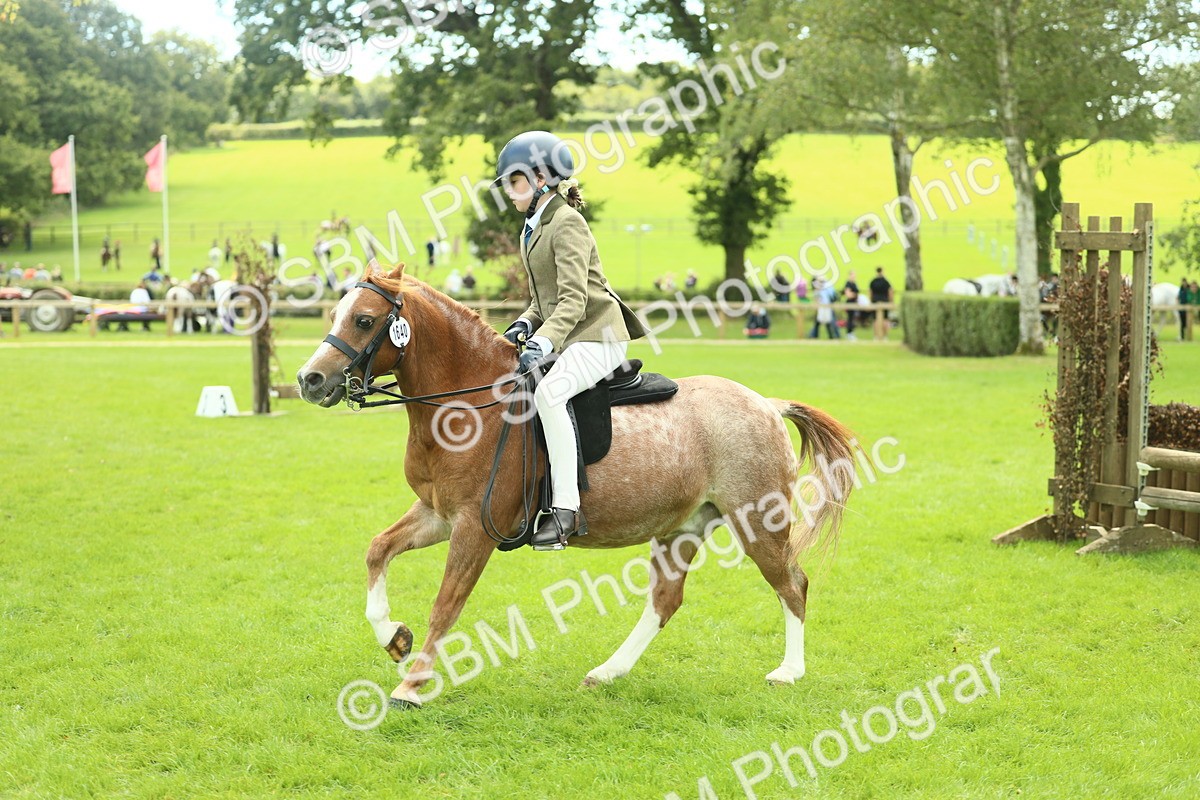 SBM_42735 - S30 - M&M Working hunter Pony