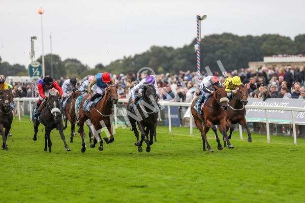 210824-Race 7-Yes Im Mali-7479 - Race 7 5.20pm Sky Bet Nursery Handicap