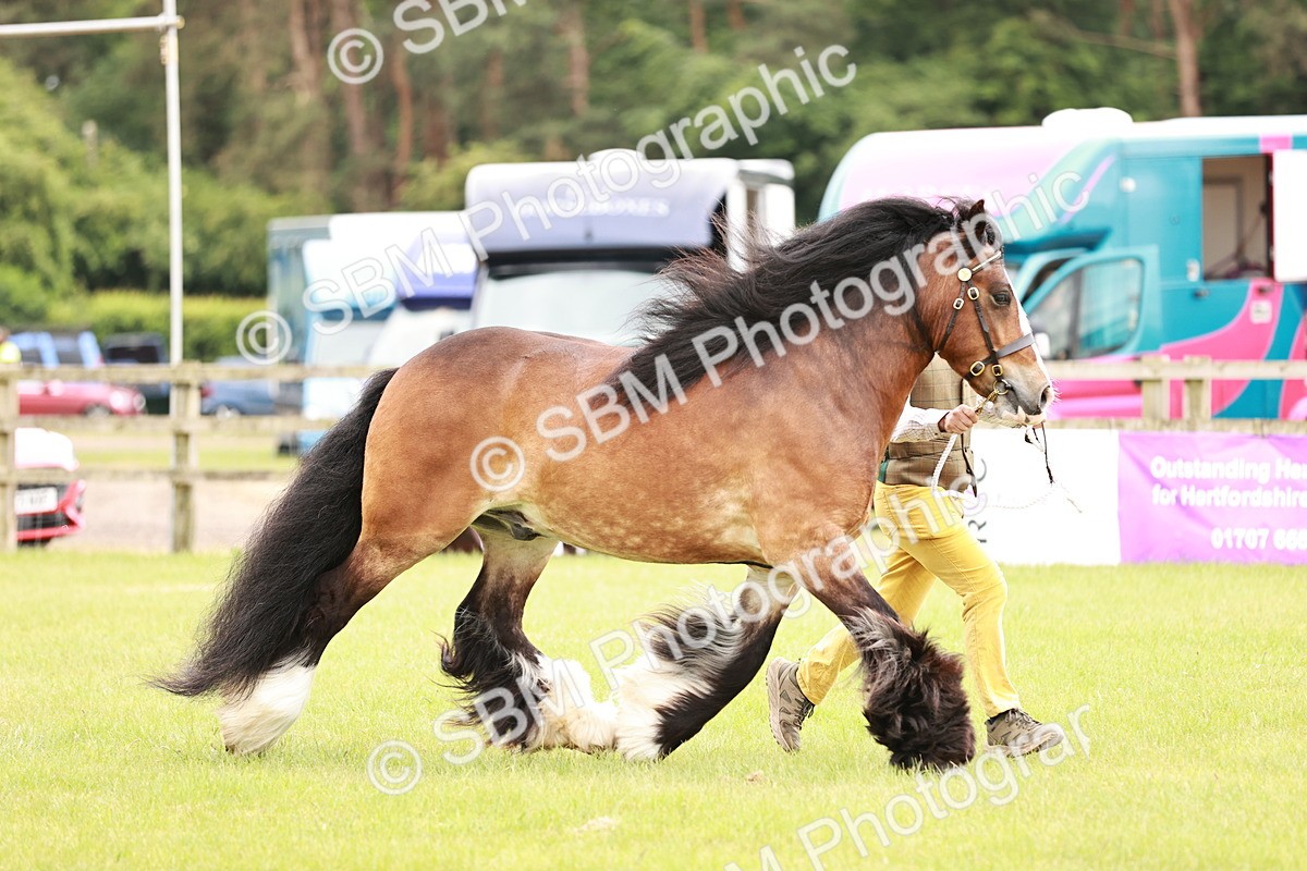 SBM_06019 - Class 39-41 TGCA In Hand and Ridden