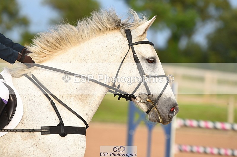 230711A-193746-00706 - 1m