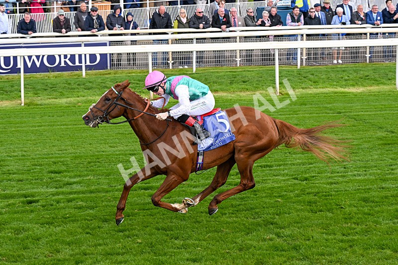 140526-Race 5-Item-0288 - Race 5 4.05pm Al Basti Equiworld Dubai Dante Stakes