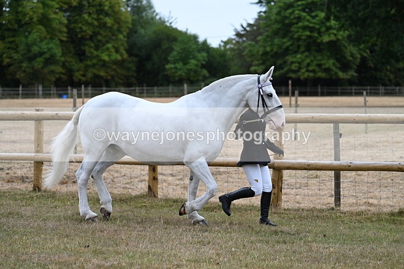 WJ7_8874 - Class 4a Prettiest Mare 14.2hh and over