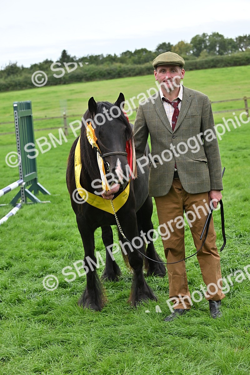 SBM_65045 - In Hand Pony & Younstock Supreme Championship