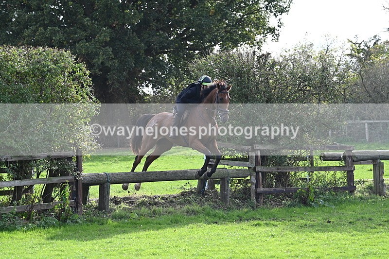 WJ7_0969 - Time 14:27 to 15:11