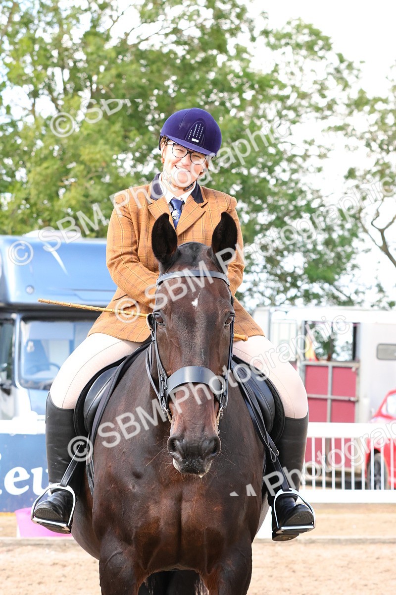 SBM_13529 - Class 212 - Ridden Hunter  - Large