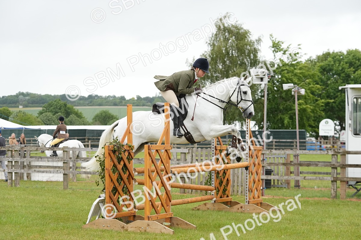 SBM_12597 - Class 97-98 - LIHS BSHA Rising Star Working Show Horse Hunter