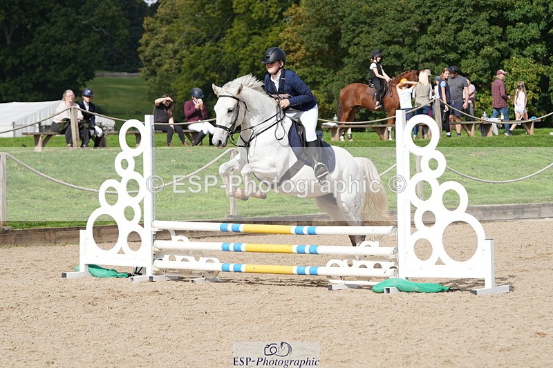 261003A-121006-00307 - 60cm