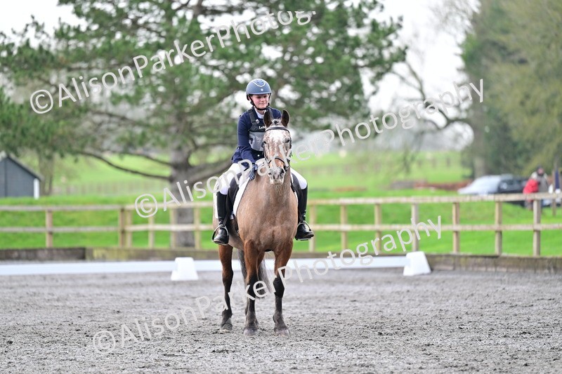 20260125-3687 - Class 12 - Novice