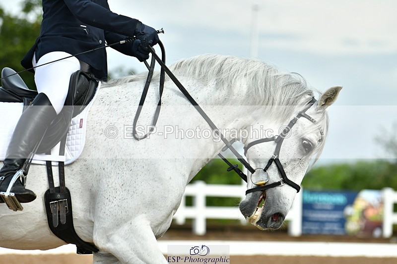 230708A-091129-02007 - Prelim 13