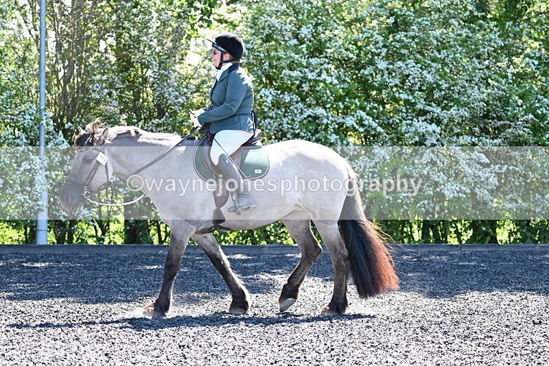 WJ7_9506 - Time 12:10 to 12:21