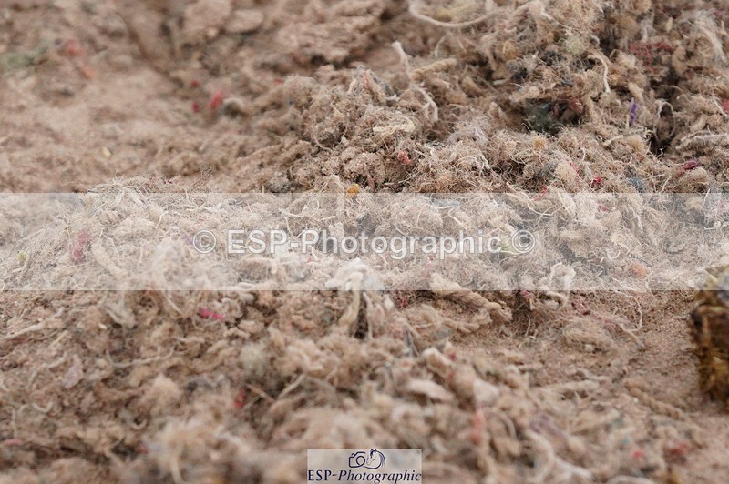 250523-175636-03197 - Jolly Jumps Ride & Run