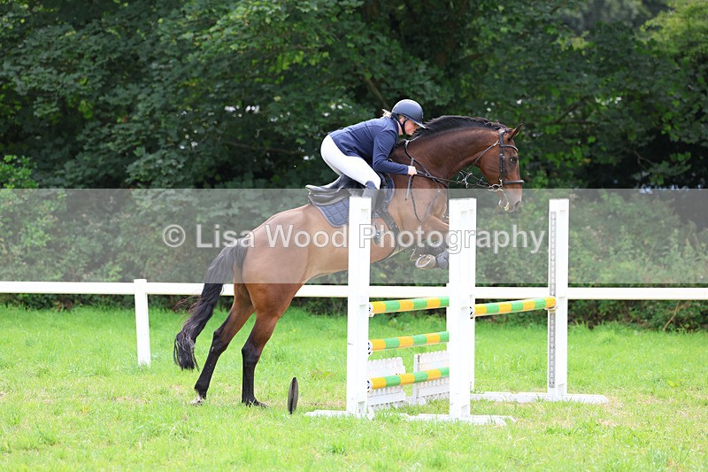 3E7A7393 - Class 5: Senior British Novice/90cm open