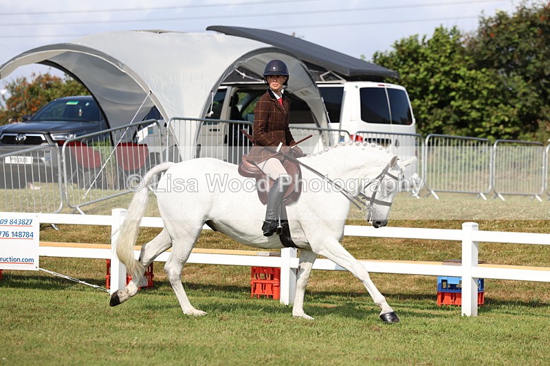 3E7A8563 - Class 3: Rising Star S/L Hunter