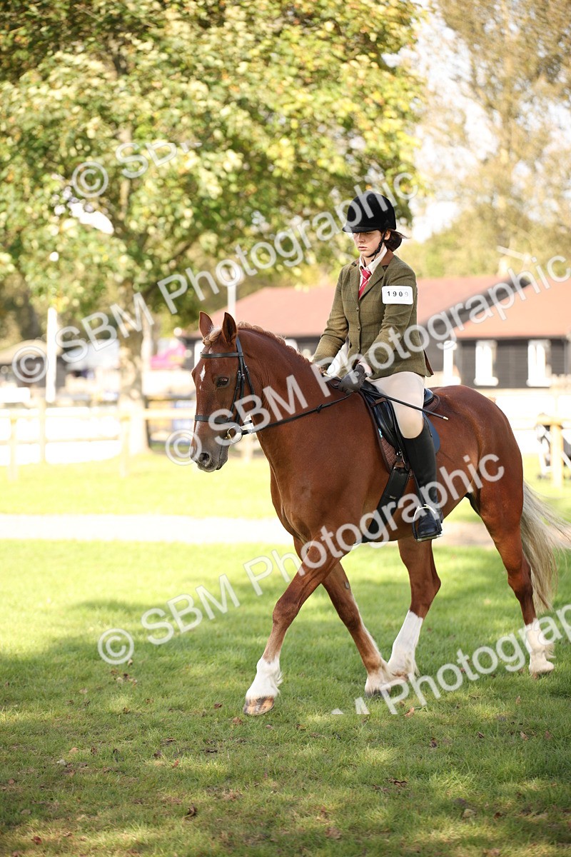 SBM_50069 - S26 - Young Veteran - Ridden