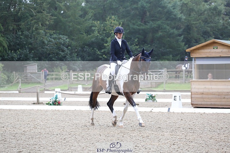 240720-145815-06269 - 124-Sophie_Savage-Two_Tone_Ted