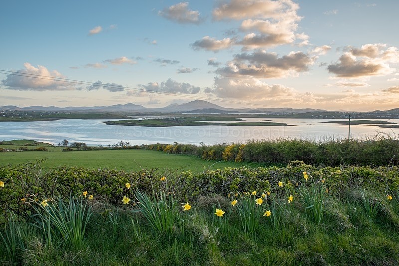 DSC_3702 - Mulroy Bay & Bridge