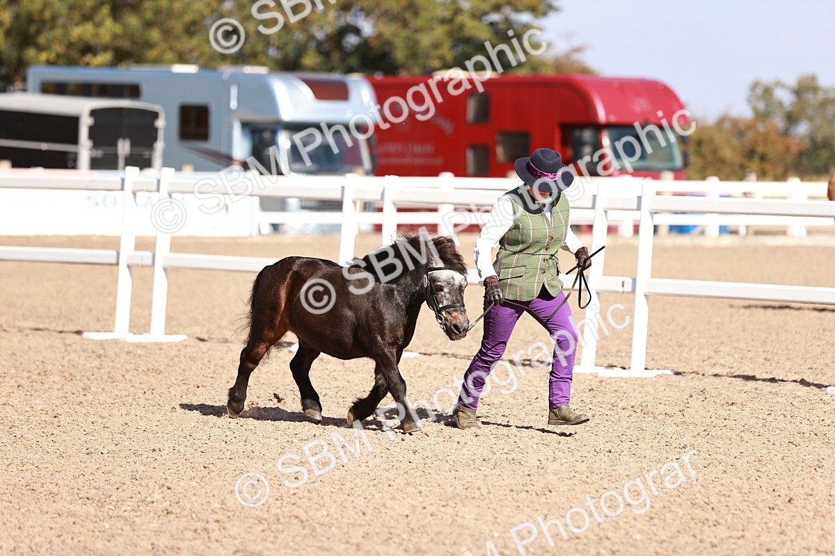 SBM_22766 - Class 705 - IH Combination 65+