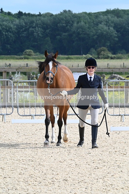 WJ7_8222 - Time 16:10 to 16:25