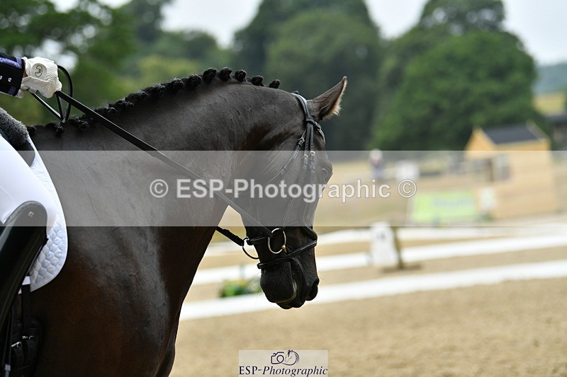 250718A-103611-00200 - 061-Louise.Christie-High.Hoes.Dandelion