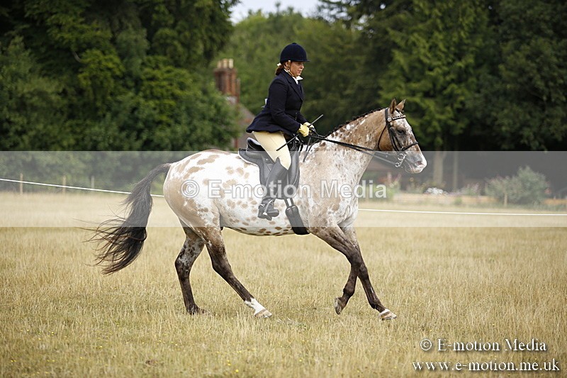 _C7A9495 - BVRC Show 2018 Ring 1