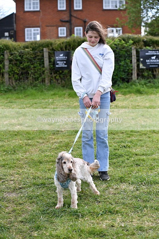 WJ5_0210 - Class 5 Best Veteran / 7 years & over