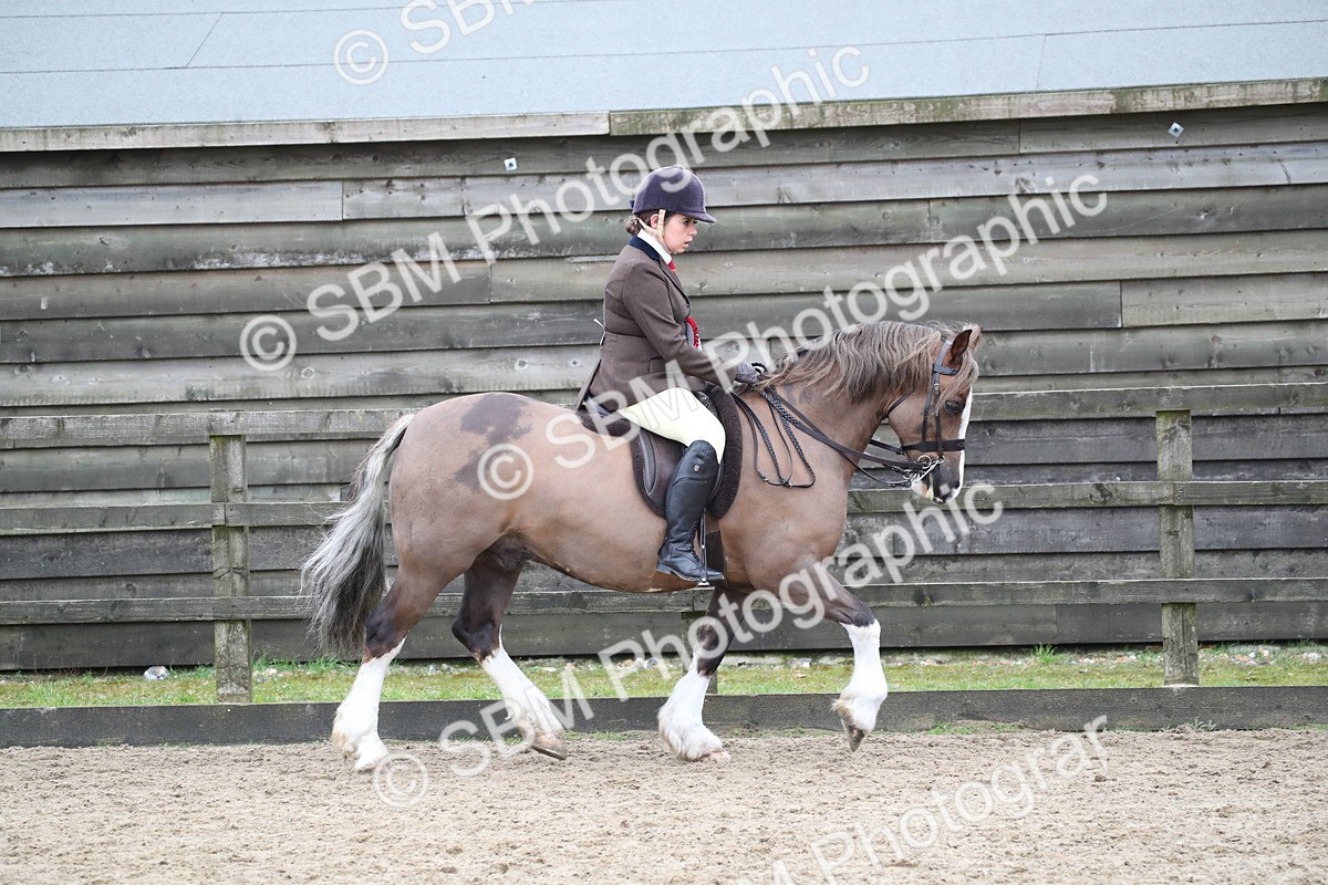 SBM_007051 - Class 10-13 - RIHS Small Large Breeds