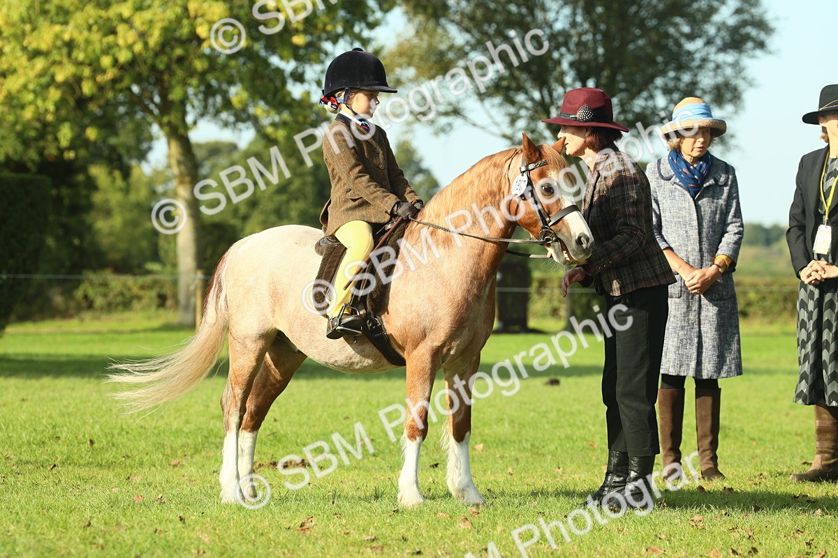 SBM_59222 - S38 - Starters Ridden Showing