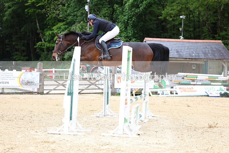 3E7A9602 - Class 9: Senior Foxhunter/1.20 open