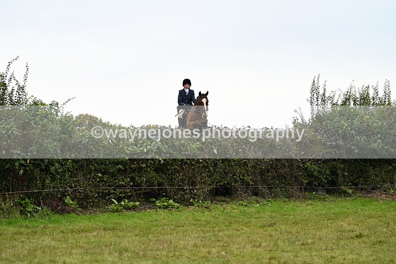 WJ7_4084 - Camera 1 Line 2