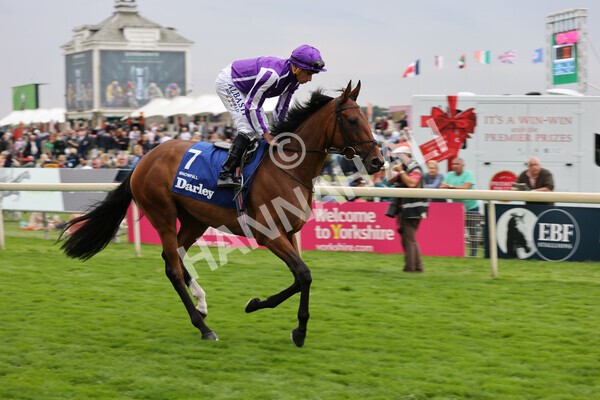 yr19082021r4-33 - Race 4 3.35pm Darley Yorkshire Oaks (British Champions Series race)