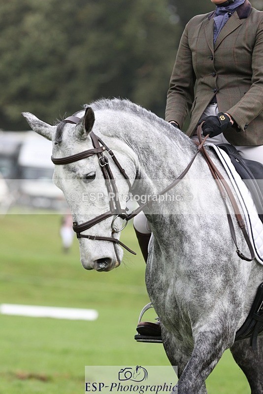 231019-152907-04887 - 553-HARLEQUIN.RABBIT-Althea.Bleekman-DR