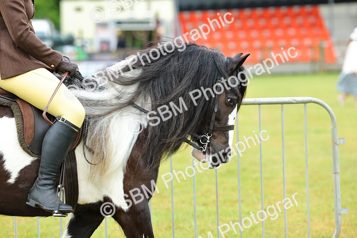 SBM_01117 - Class 1-4 - BSPA Ridden