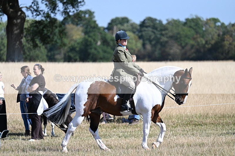 WJ7_3046 - Class 8 Ridden Tack & Turnout