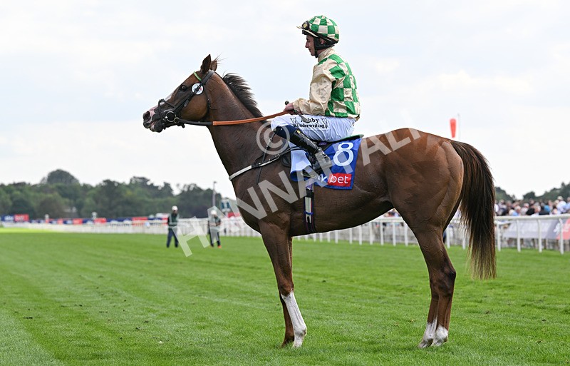 220826-152 Daiquiri Bay - Race 4 15.35pm Sky Bet Ebor Handicap