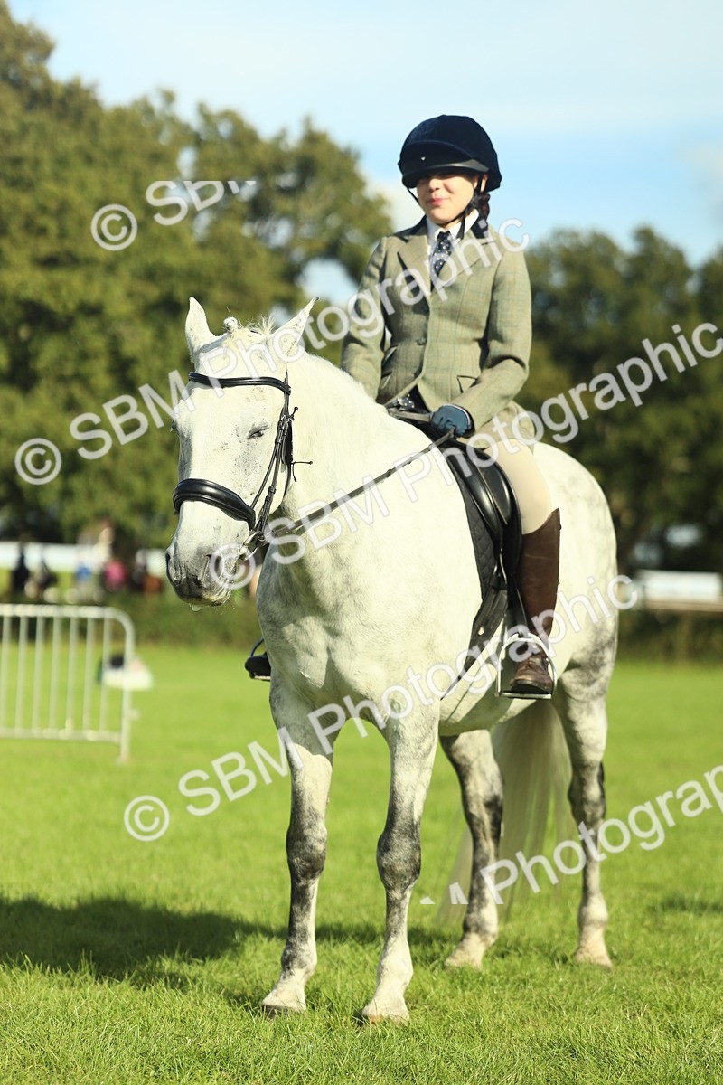 SBM_49901 - S32 - Novice & Newcomers Working Hunter