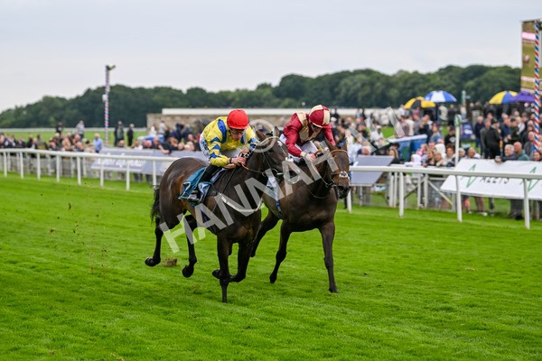 120724-Race 4-Karmology-6145 - Race 4 3.50pm Azets Handicap