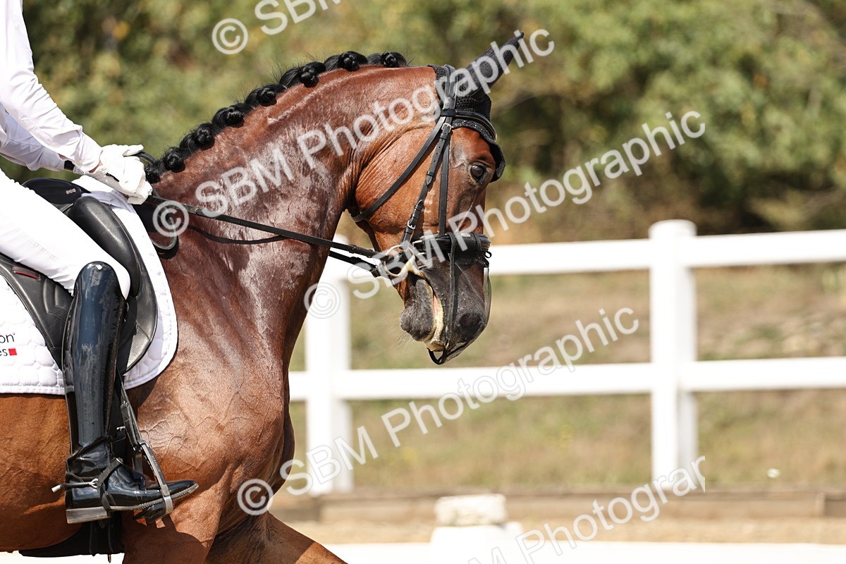 SBM_018763 - Class 16 - Novice 5 - 12.08-13.11