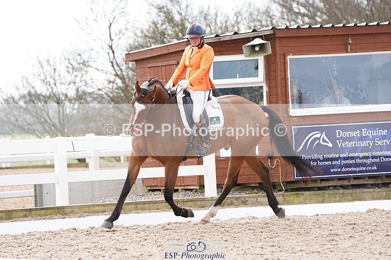 250322-130732-00441 - DR Elementary 2 Test