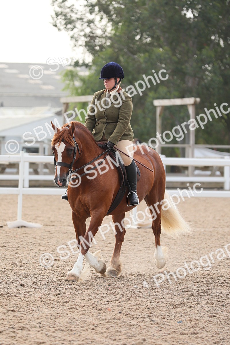 SBM_10065 - Class 302 Ridden M&M -Large Breeds