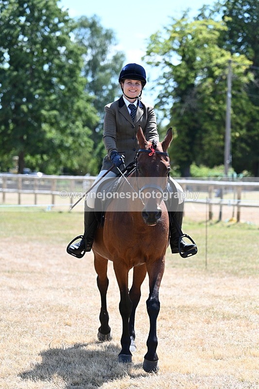 WJ7_2832 - Class 7 Riding Club Show Horse