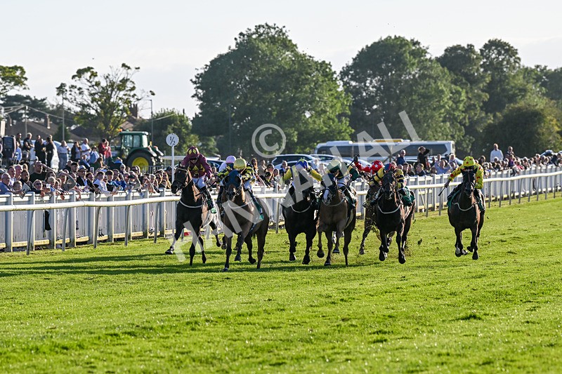 160824-Race 5-Ready Freddie Go-9552 - Race 5