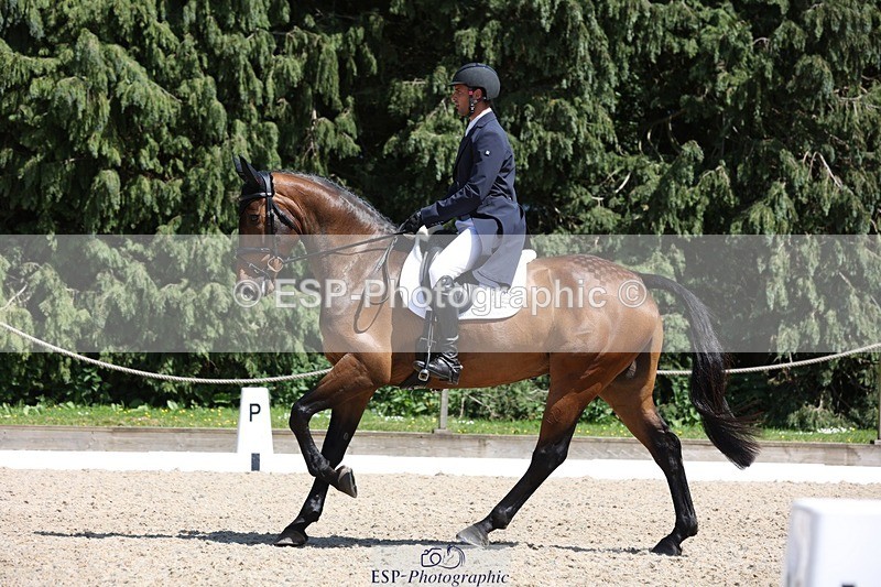 230526-144059-06516 - 374-ISLANDWOOD_THE_RISING-Sebastian_Roldan_Olivera-WEDTrotUp+DR